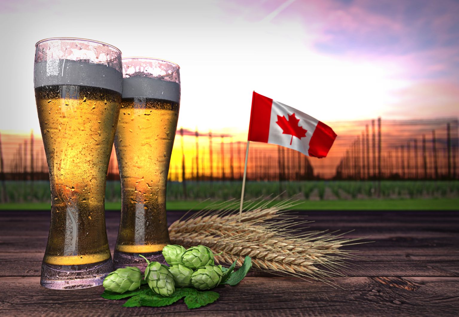 Les meilleures bières du Canada